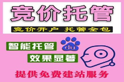 深度解读：百度推广运营的五大成功案例
